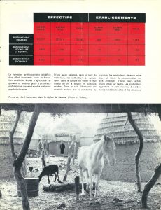 Berliet | informations n° 117, p. 17